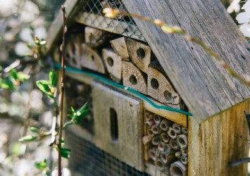 Domek dla owadów pożytecznych w ogrodzie - gdzie go umieścić
