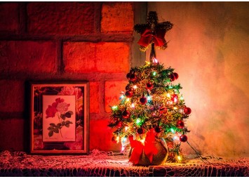 Doniczka na choinkę – pomysły na idealne drzewko bożonarodzeniowe