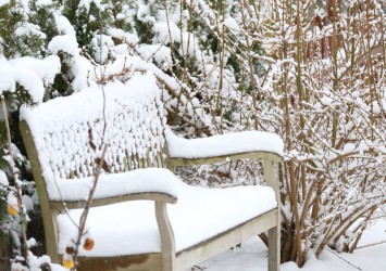 Luty w ogrodzie - zimowe obowiązki w przydomowym terenie