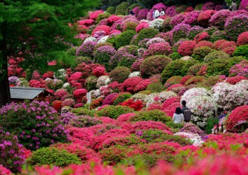 Najpiękniejsze ogrody świata – daj się zainspirować!