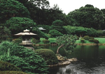 Ogród orientalny – jak powinien wyglądać?