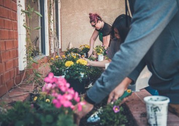 Wiosenne porządki w ogrodzie – jak je sprawnie zorganizować?